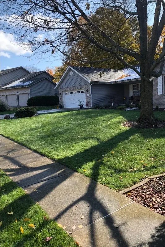 Front lawn & walkway cleanup — after