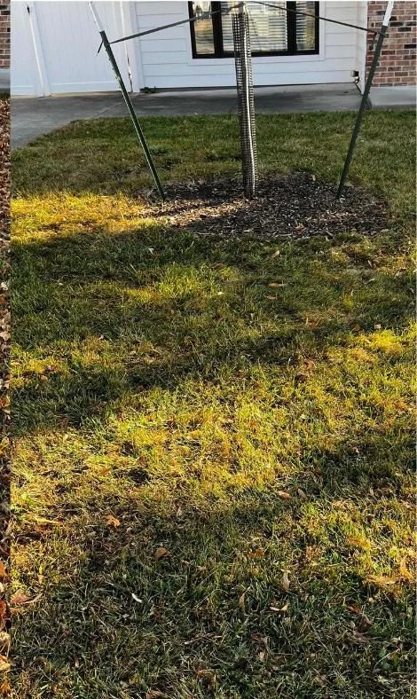 Lawn & tree bed cleanup — after