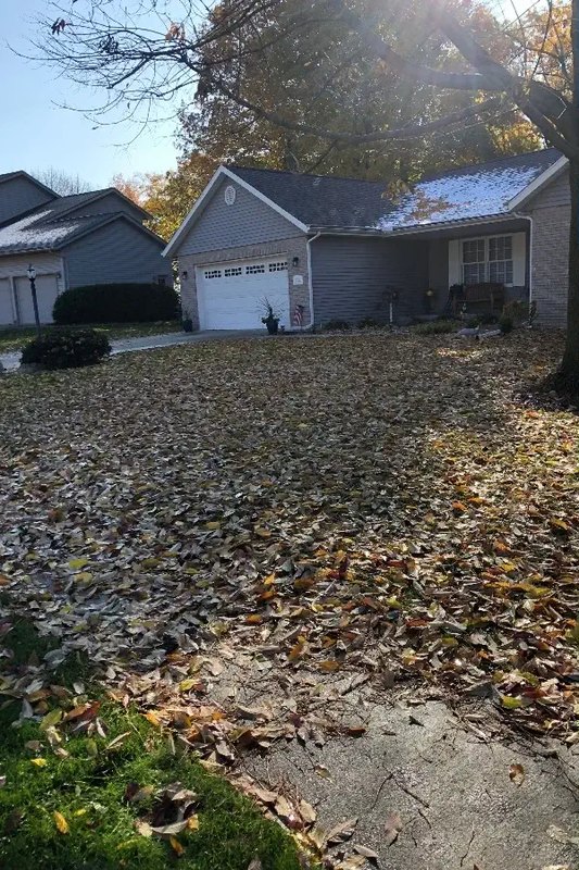 Front lawn & walkway cleanup — before